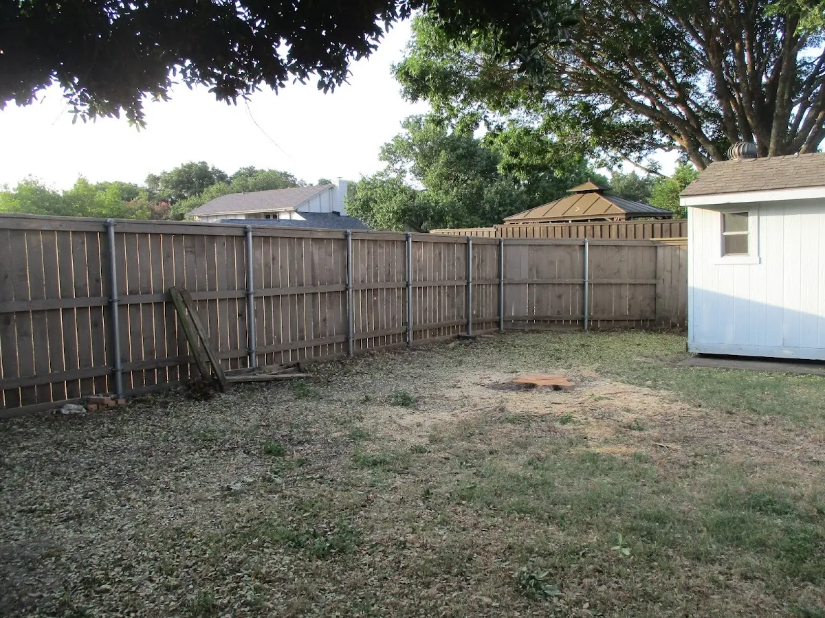 Cleared yard after professional tree removal in Emery